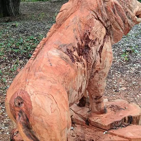 Dame De Monts Entre Et Marais Notre-Dame-de-Monts