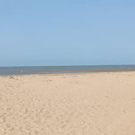 Dame De Monts Entre Et Marais