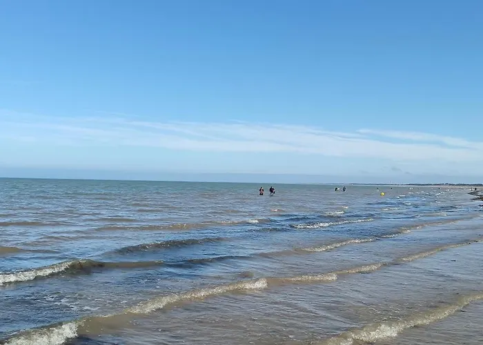 Dame De Monts Entre Et Marais