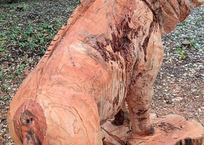 Dame De Monts Entre Et Marais Notre-Dame-de-Monts