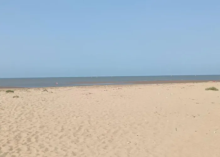 Dame De Monts Entre Et Marais