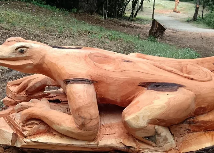 Dame De Monts Entre Et Marais *