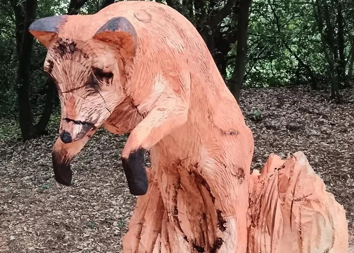 Dame De Monts Entre Et Marais