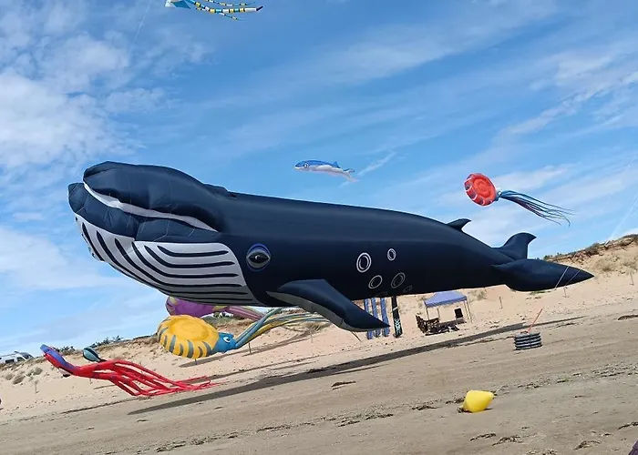 Dame De Monts Entre Et Marais Notre-Dame-de-Monts