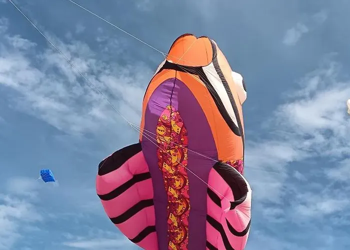 Hébergement de vacances Dame De Monts Entre Et Marais *